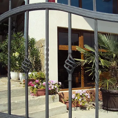 Amfora Guest house Byala (Varna)