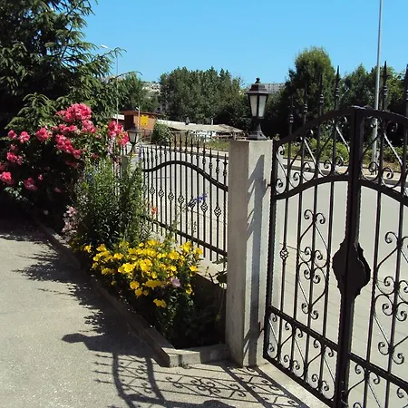 Amfora Byala (Varna)