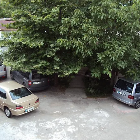 Amfora Byala (Varna)