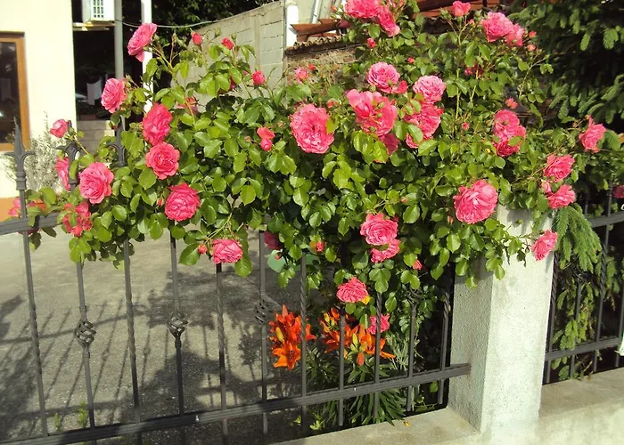 Гостевой дом Amfora Бяла