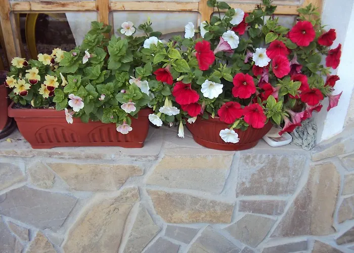 Amfora Гостевой дом